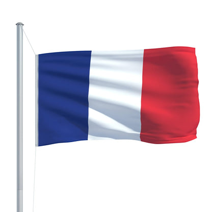 vidaXL France Flag 90x150 cm