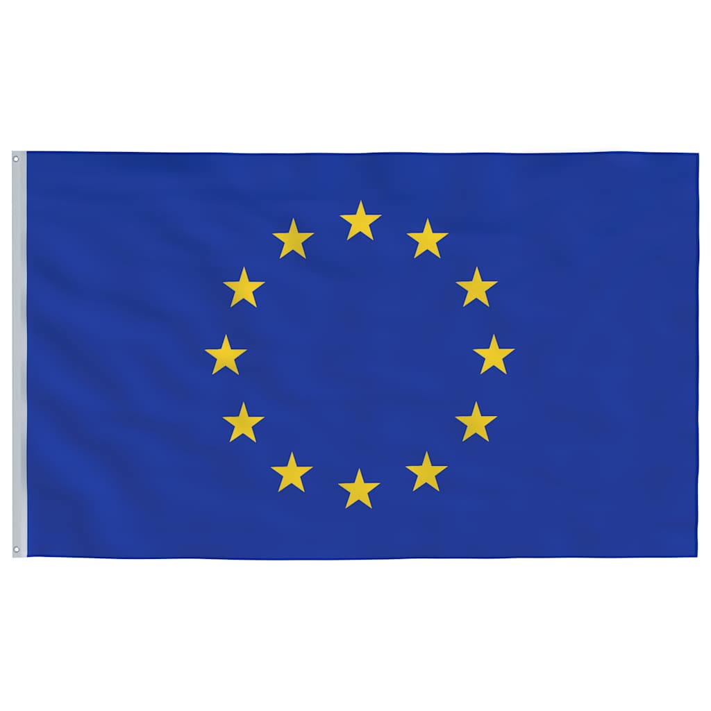 146067 vidaXL Europe Flag 90x150 cm