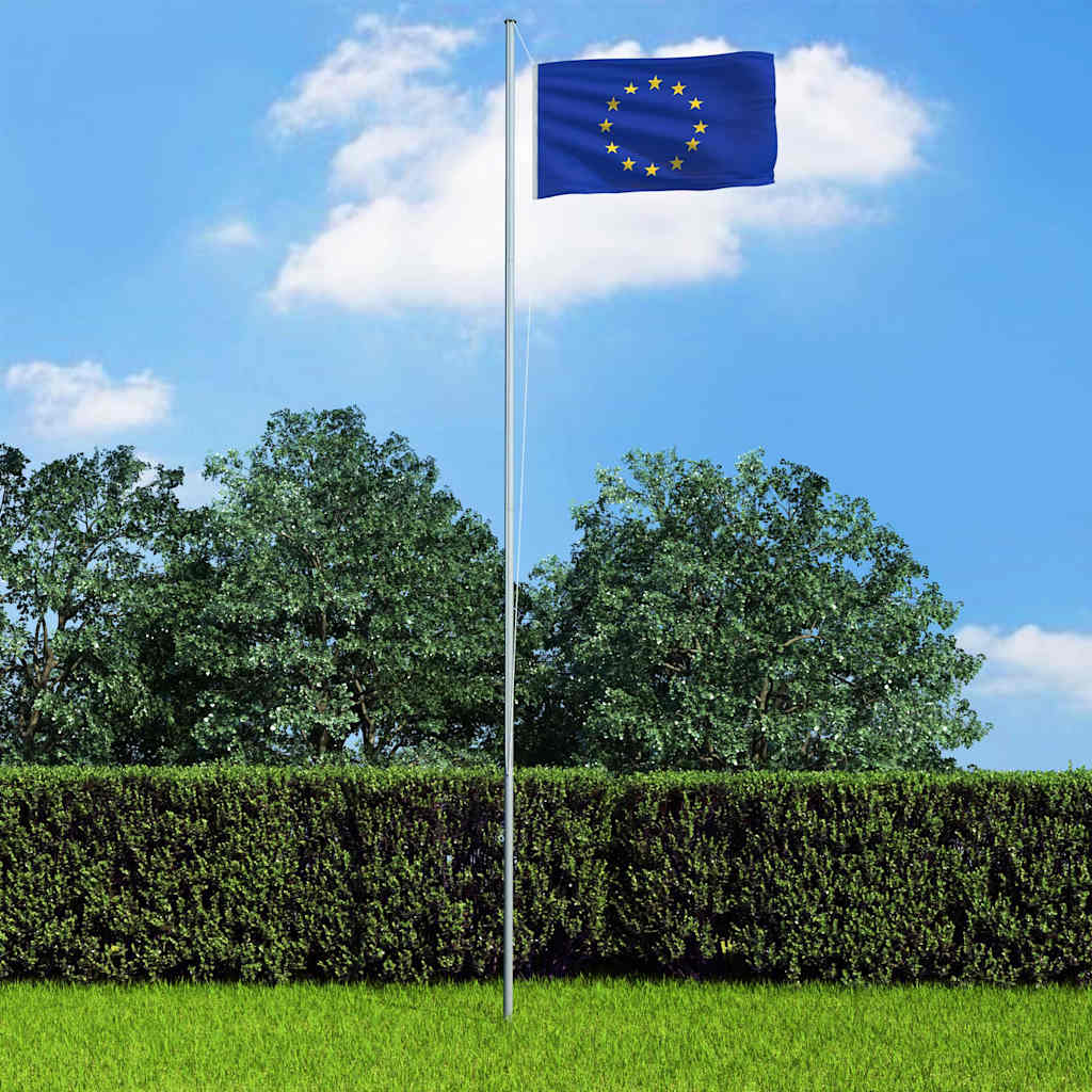 146067 vidaXL Europe Flag 90x150 cm