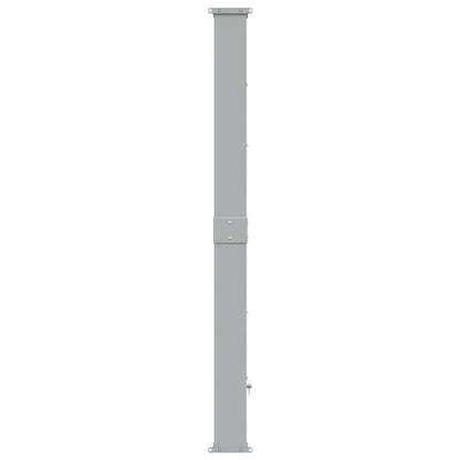 vidaXL Patio Retractable Side Awning 160x300 cm Blue