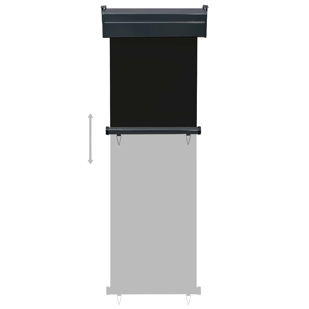 vidaXL Balcony Side Awning 65x250 cm Black