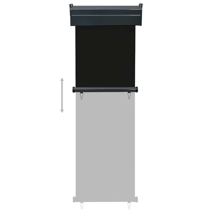 vidaXL Balcony Side Awning 65x250 cm Black