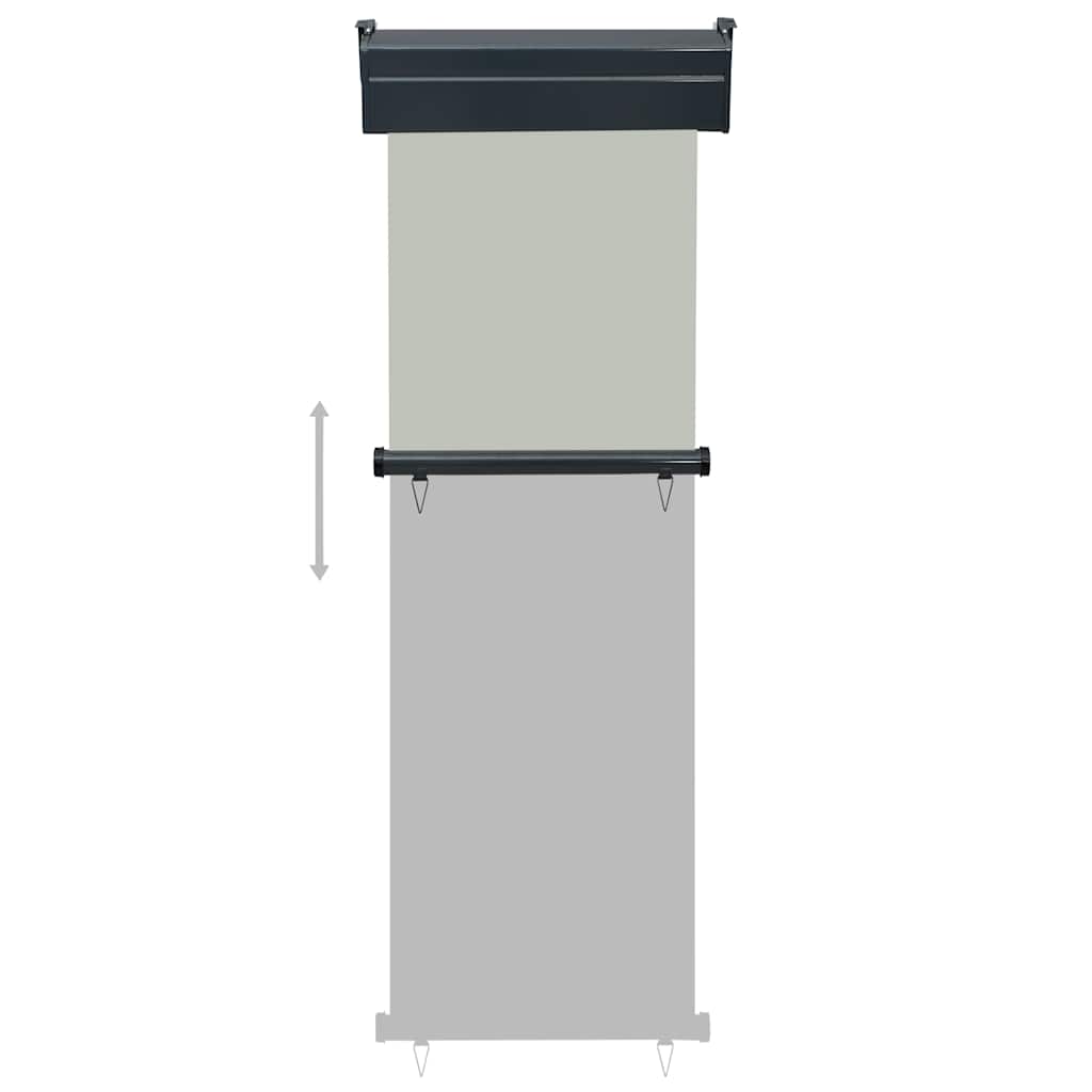 vidaXL Balcony Side Awning 65x250 cm Grey