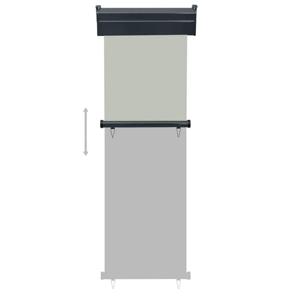 vidaXL Balcony Side Awning 65x250 cm Grey