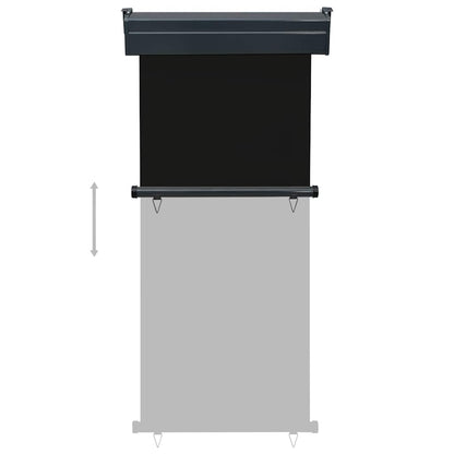 vidaXL Balcony Side Awning 85x250 cm Black