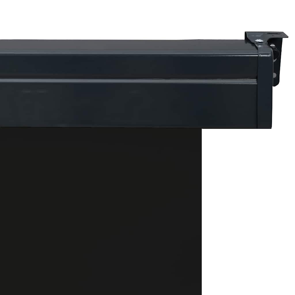 vidaXL Balcony Side Awning 85x250 cm Black