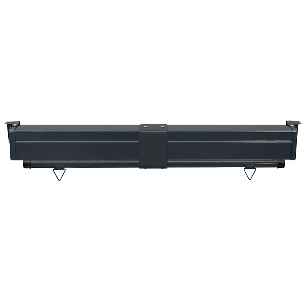 vidaXL Balcony Side Awning 125x250 cm Black