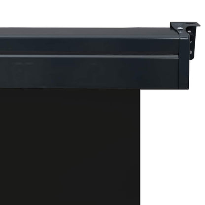 vidaXL Balcony Side Awning 125x250 cm Black