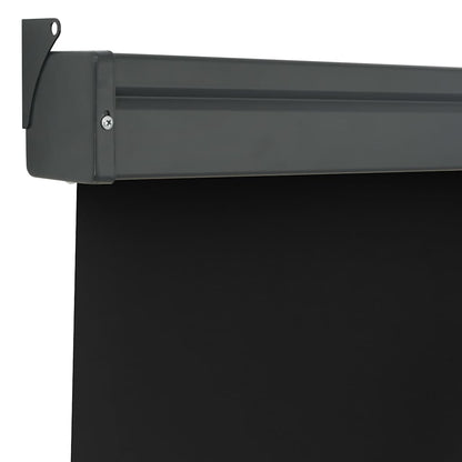 vidaXL Balcony Side Awning 125x250 cm Black