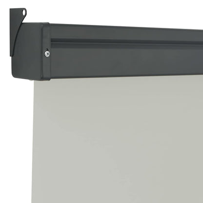 vidaXL Balcony Side Awning 125x250 cm Grey