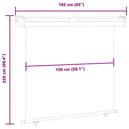 vidaXL Balcony Side Awning 165x250 cm Cream