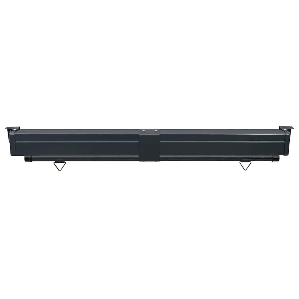 vidaXL Balcony Side Awning 165x250 cm Red