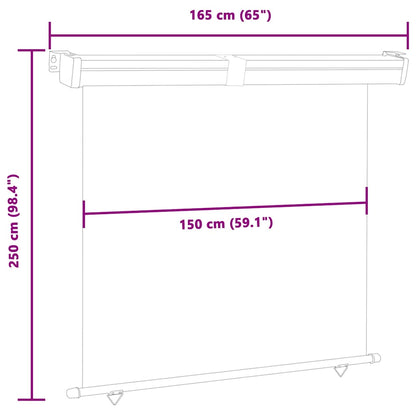 vidaXL Balcony Side Awning 165x250 cm Brown