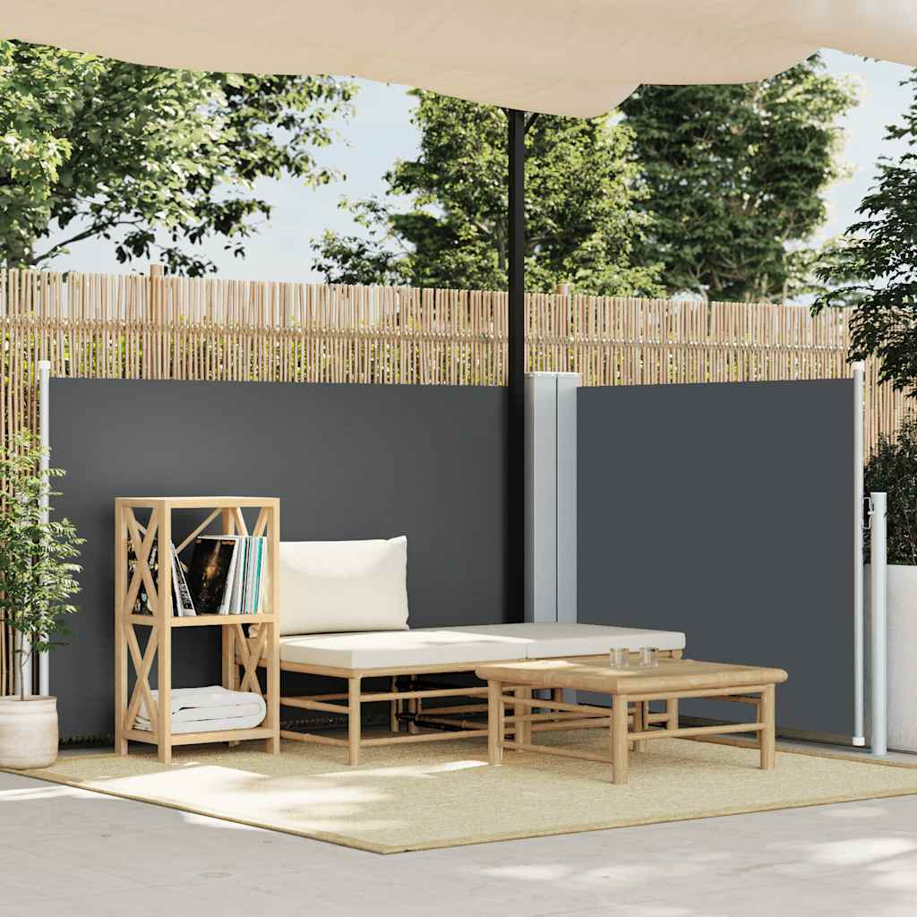 vidaXL Retractable Side Awning Anthracite 100x600 cm