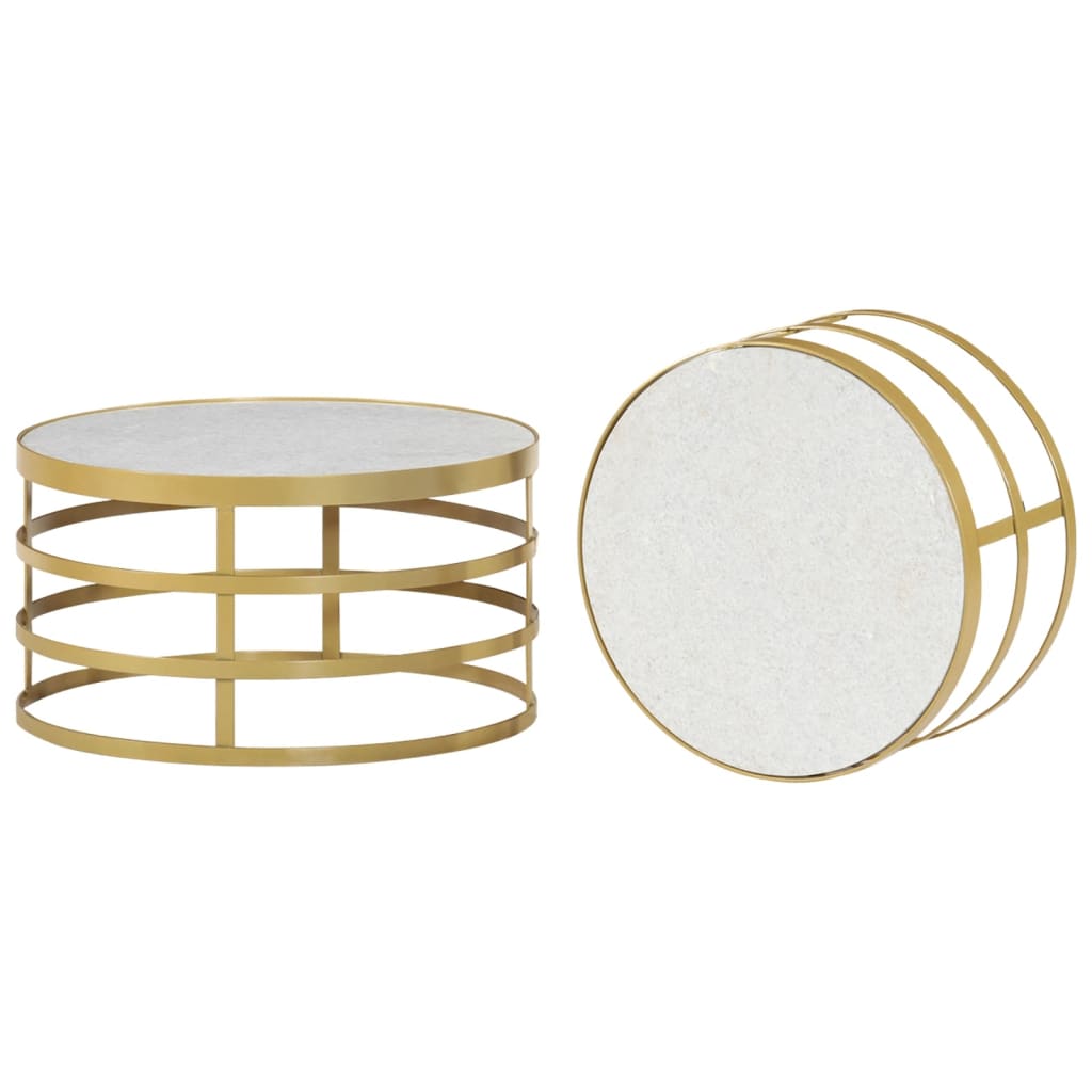 vidaXL 2 Piece Coffee Table Set Marble Brass and White