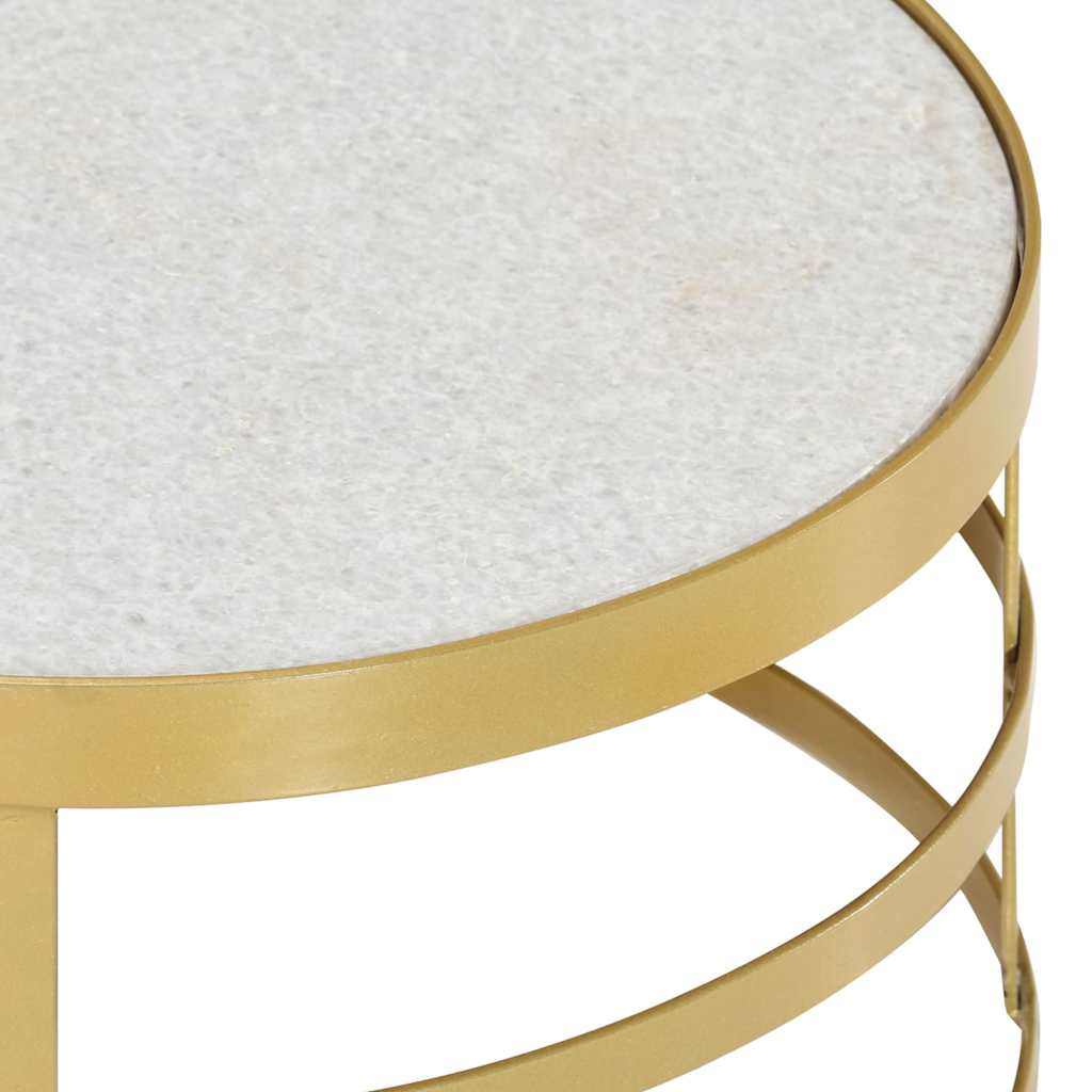 285911 vidaXL 2 Piece Coffee Table Set Marble Brass and White