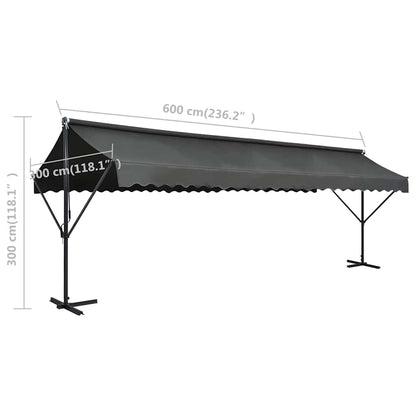 145888 vidaXL Free Standing Awning 600x300 cm Anthracite
