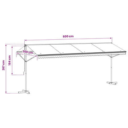 145888 vidaXL Free Standing Awning 600x300 cm Anthracite