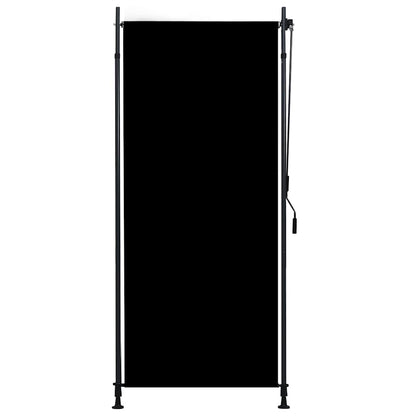vidaXL Outdoor Roller Blind 100x270 cm Anthracite