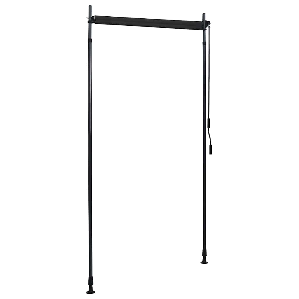 vidaXL Outdoor Roller Blind 100x270 cm Anthracite