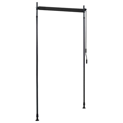 vidaXL Outdoor Roller Blind 100x270 cm Anthracite