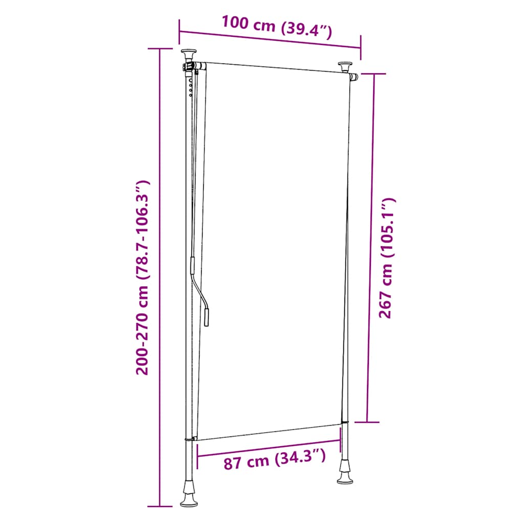 vidaXL Outdoor Roller Blind 100x270 cm Anthracite