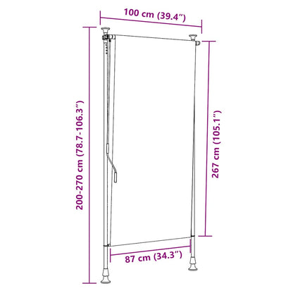 vidaXL Outdoor Roller Blind 100x270 cm Anthracite