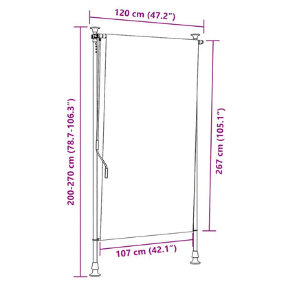 vidaXL Outdoor Roller Blind 120x270 cm Anthracite