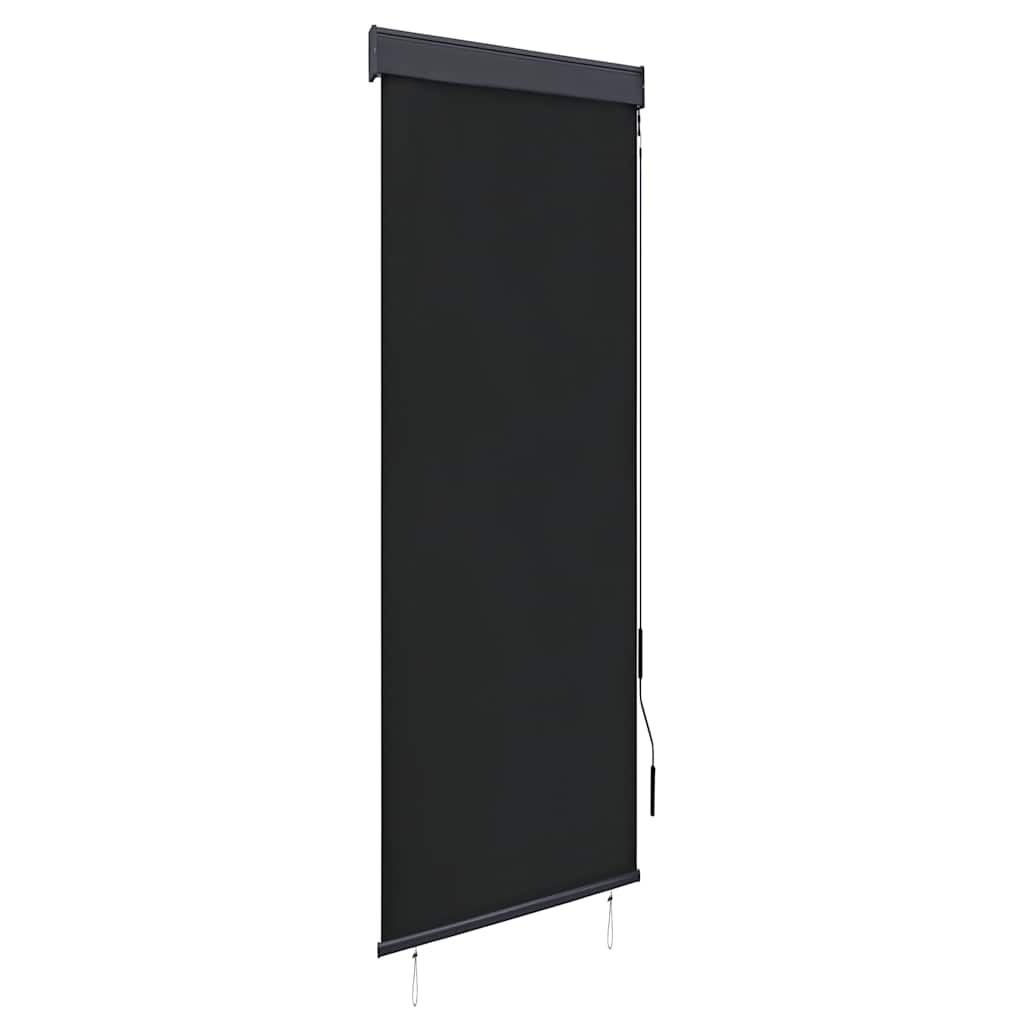 vidaXL Outdoor Roller Blind 60x250 cm Anthracite