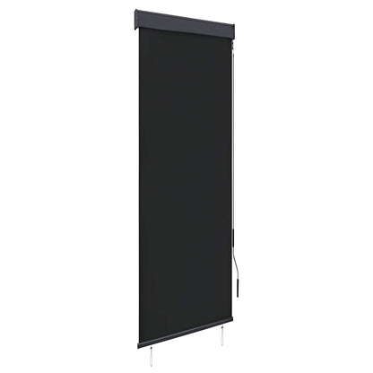 vidaXL Outdoor Roller Blind 60x250 cm Anthracite
