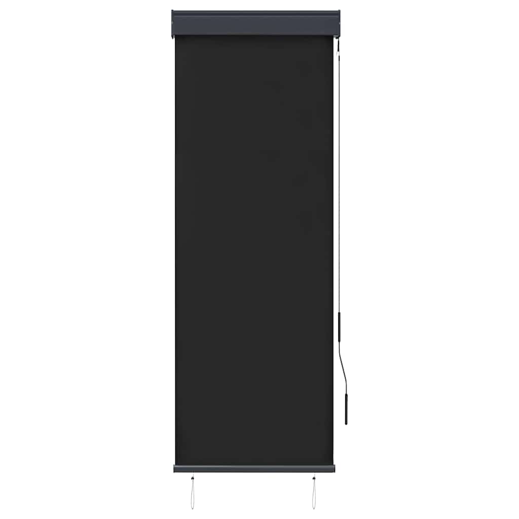 vidaXL Outdoor Roller Blind 60x250 cm Anthracite