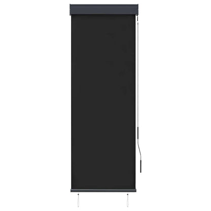 vidaXL Outdoor Roller Blind 60x250 cm Anthracite
