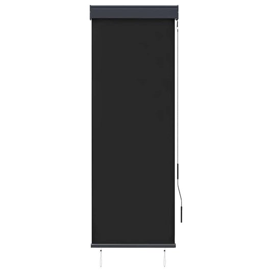 vidaXL Outdoor Roller Blind 60x250 cm Anthracite