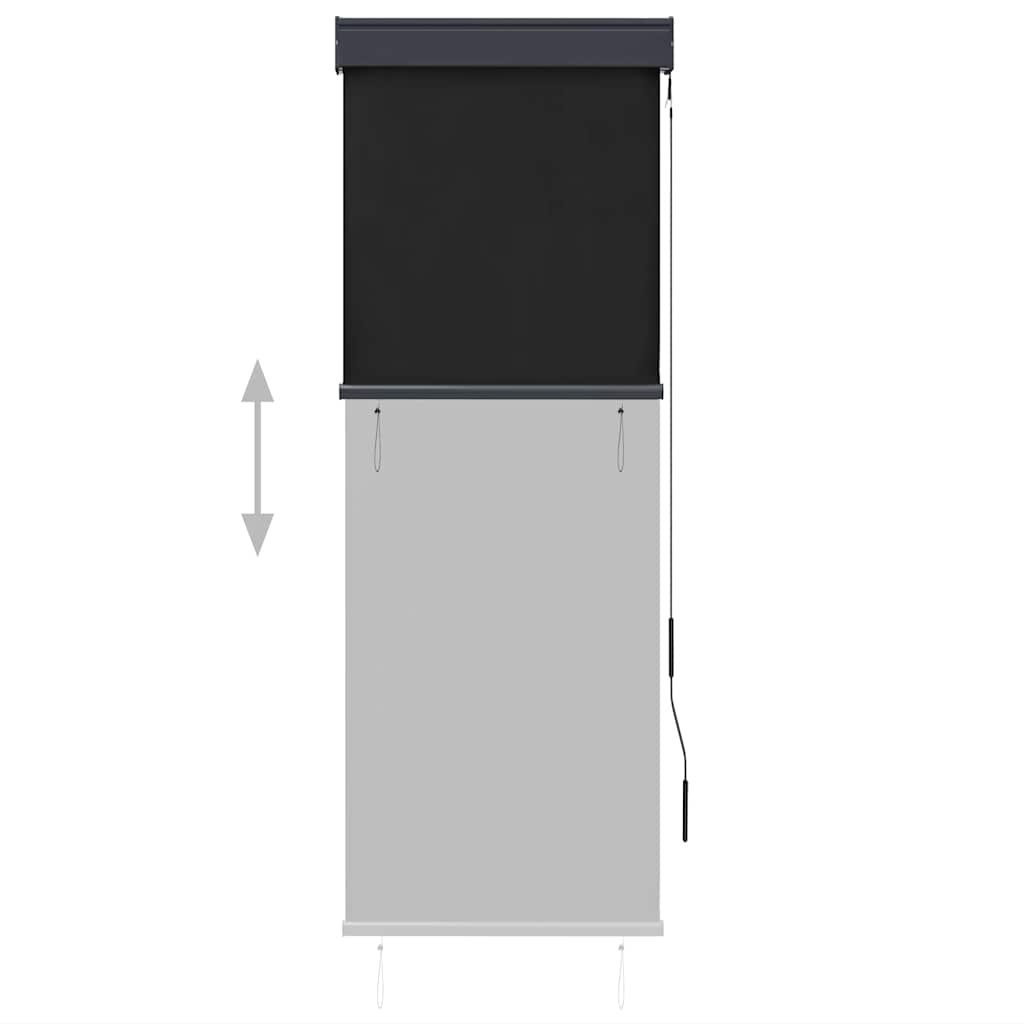 vidaXL Outdoor Roller Blind 60x250 cm Anthracite