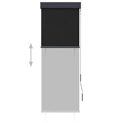 vidaXL Outdoor Roller Blind 60x250 cm Anthracite