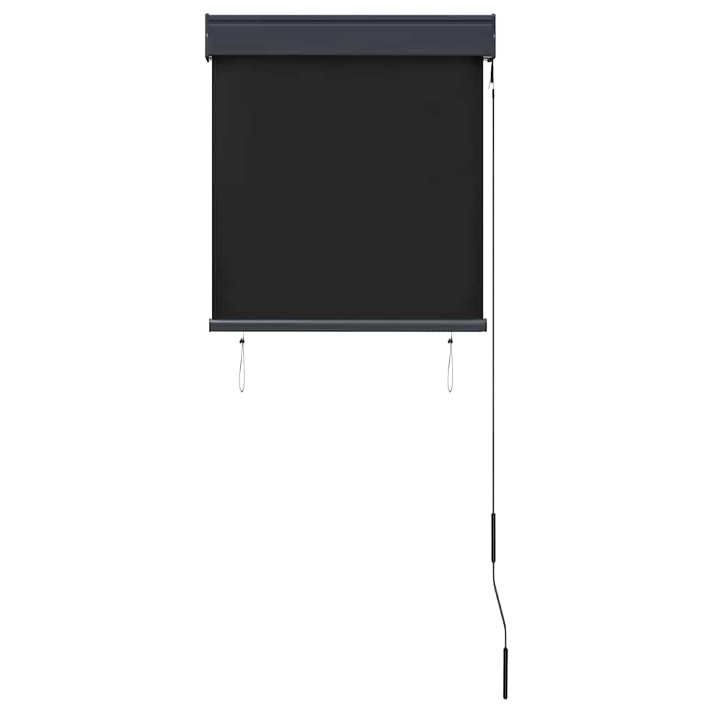 vidaXL Outdoor Roller Blind 60x250 cm Anthracite