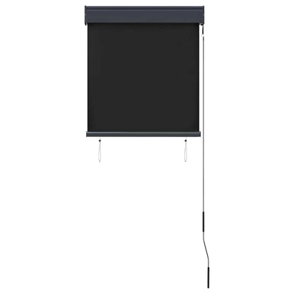 vidaXL Outdoor Roller Blind 60x250 cm Anthracite
