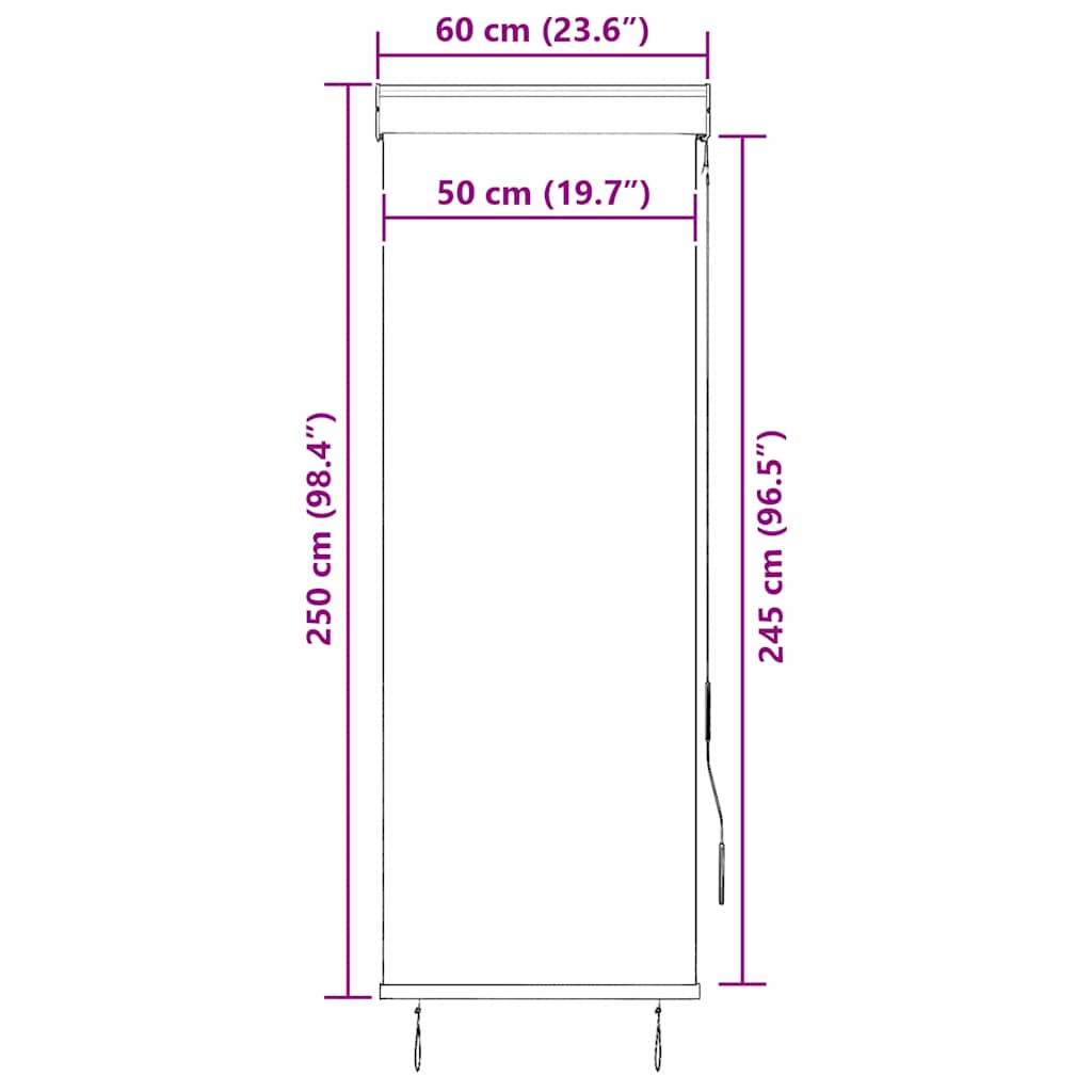 vidaXL Outdoor Roller Blind 60x250 cm Anthracite