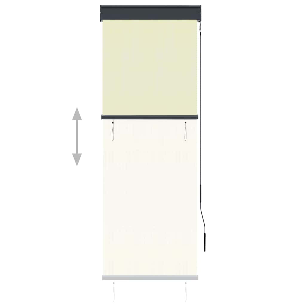 vidaXL Outdoor Roller Blind 60x250 cm Cream