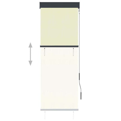 vidaXL Outdoor Roller Blind 60x250 cm Cream