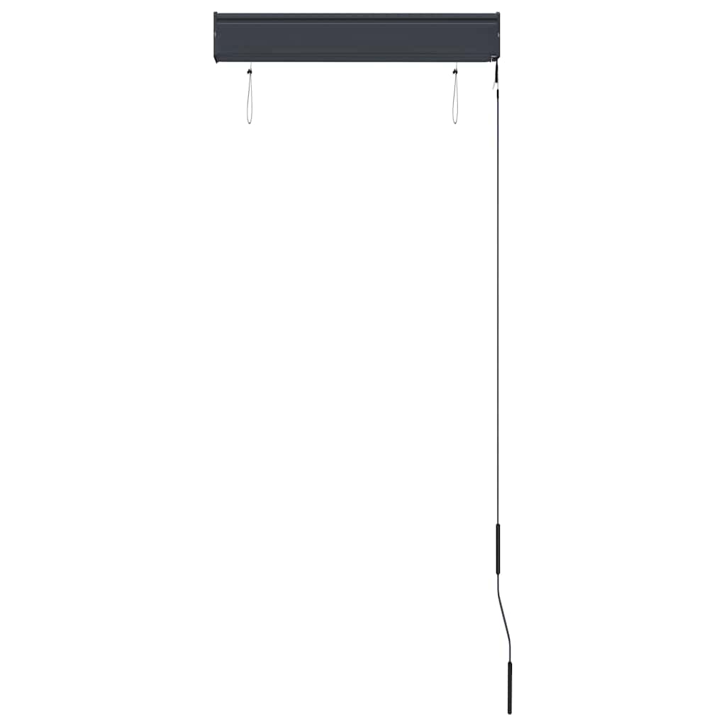vidaXL Outdoor Roller Blind 60x250 cm Cream