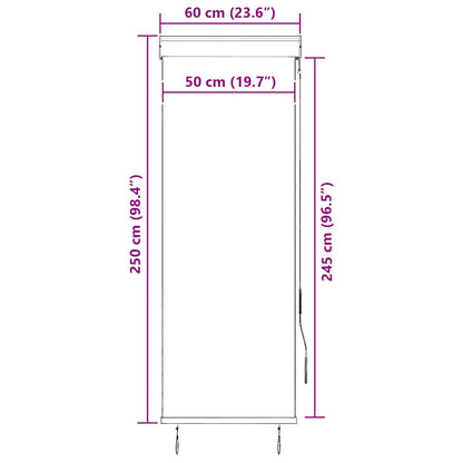 vidaXL Outdoor Roller Blind 60x250 cm Cream