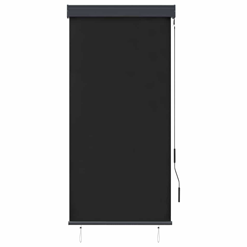 vidaXL Outdoor Roller Blind | Anthracite | Polyester with PA coating