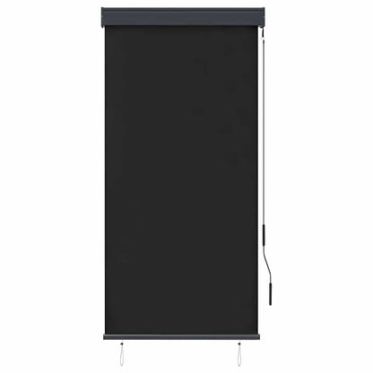 vidaXL Outdoor Roller Blind | Anthracite | Polyester with PA coating