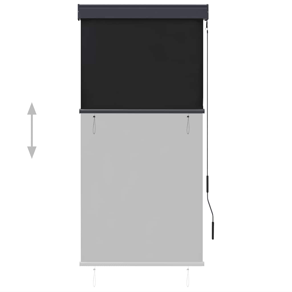 vidaXL Outdoor Roller Blind | Anthracite | Polyester with PA coating