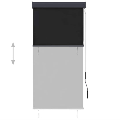 vidaXL Outdoor Roller Blind | Anthracite | Polyester with PA coating