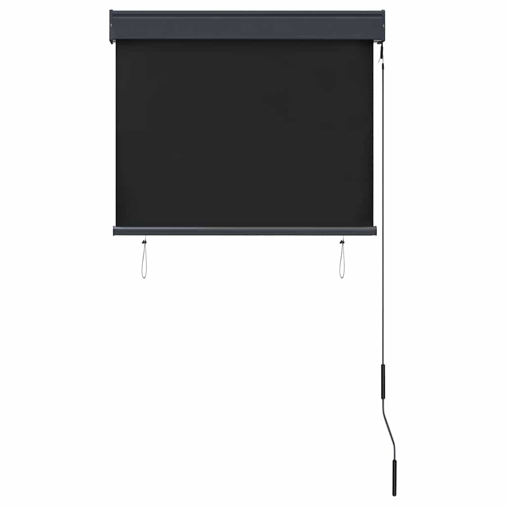 vidaXL Outdoor Roller Blind | Anthracite | Polyester with PA coating