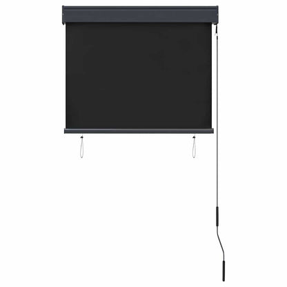 vidaXL Outdoor Roller Blind | Anthracite | Polyester with PA coating