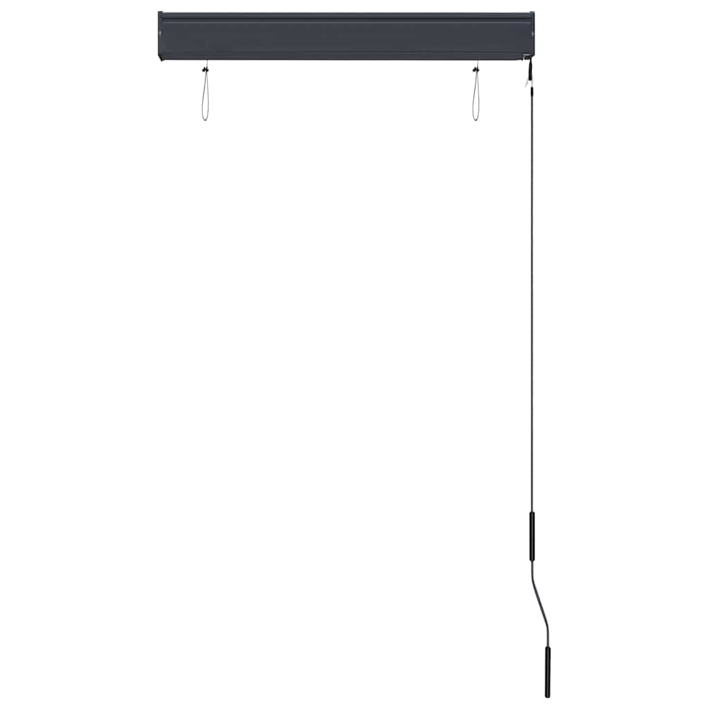 vidaXL Outdoor Roller Blind | Anthracite | Polyester with PA coating