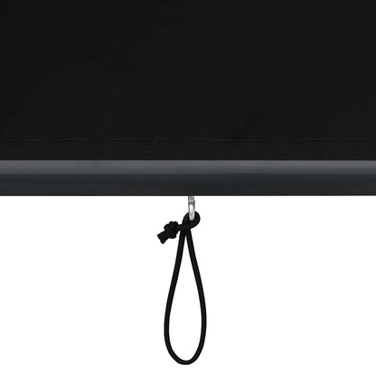 vidaXL Outdoor Roller Blind | Anthracite | Polyester with PA coating